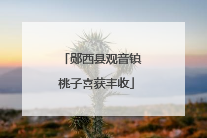 郧西县观音镇桃子喜获丰收