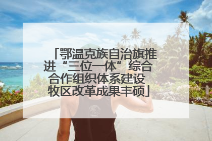 鄂温克族自治旗推进“三位一体”综合合作组织体系建设 牧区改革成果丰硕