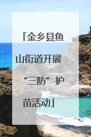 金乡县鱼山街道开展“三防”护苗活动