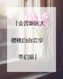 金普新区大樱桃自由尝享季启幕
