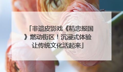 非遗皮影戏《精忠报国》燃动街区！沉浸式体验让传统文化活起来