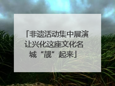 非遗活动集中展演 让兴化这座文化名城“靓”起来