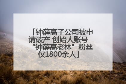 钟薛高子公司被申请破产 创始人账号“钟薛高老林”粉丝仅1800余人
