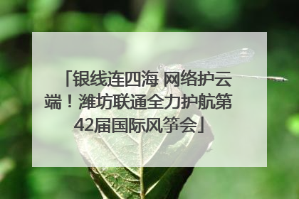 银线连四海 网络护云端！潍坊联通全力护航第42届国际风筝会