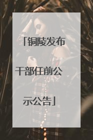 铜陵发布干部任前公示公告