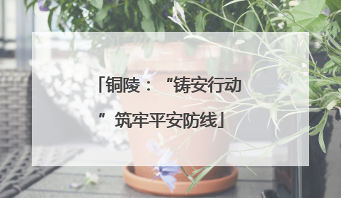 铜陵：“铸安行动”筑牢平安防线
