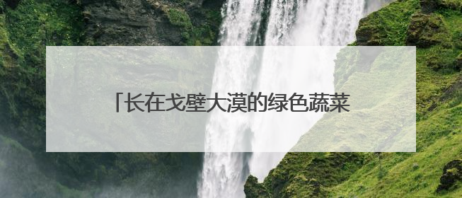长在戈壁大漠的绿色蔬菜38小时直达粤港澳餐桌