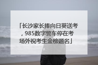 长沙家长捧向日葵送考，985数字警车停在考场外祝考生金榜题名