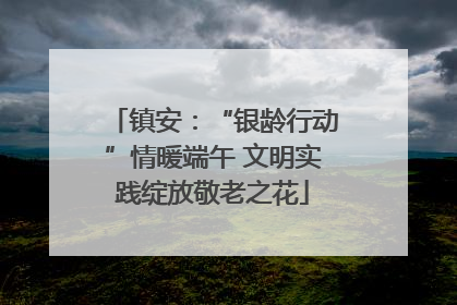 镇安：“银龄行动”情暖端午 文明实践绽放敬老之花