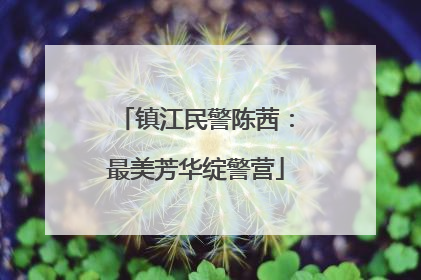 镇江民警陈茜：最美芳华绽警营