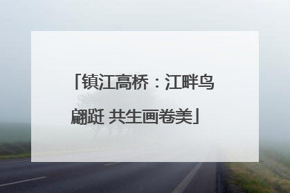 镇江高桥：江畔鸟翩跹 共生画卷美