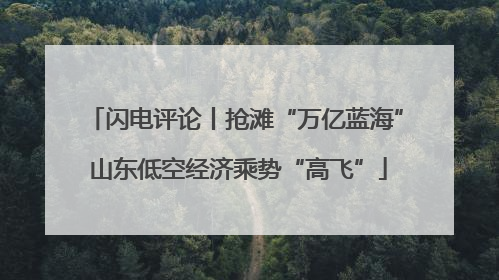 闪电评论丨抢滩“万亿蓝海” 山东低空经济乘势“高飞”