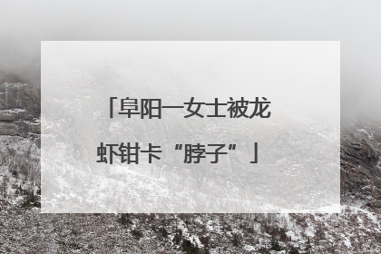 阜阳一女士被龙虾钳卡“脖子”