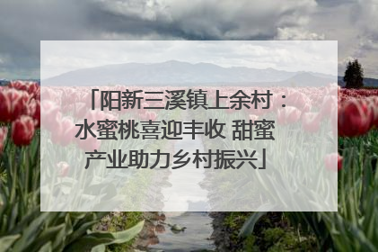 阳新三溪镇上余村：水蜜桃喜迎丰收 甜蜜产业助力乡村振兴