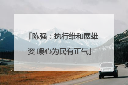 陈强：执行维和展雄姿 暖心为民有正气