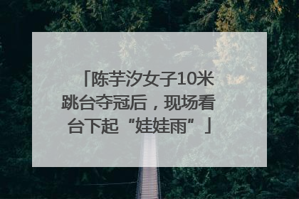 陈芋汐女子10米跳台夺冠后，现场看台下起“娃娃雨”