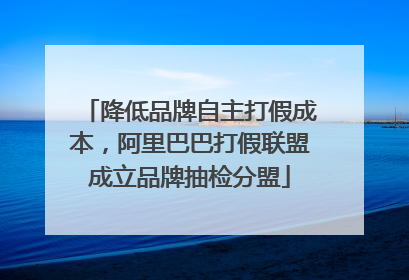 降低品牌自主打假成本，阿里巴巴打假联盟成立品牌抽检分盟