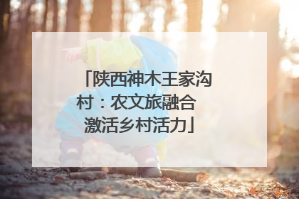陕西神木王家沟村：农文旅融合 激活乡村活力