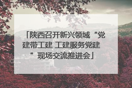 陕西召开新兴领域“党建带工建 工建服务党建”现场交流推进会