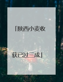 陕西小麦收获已过三成