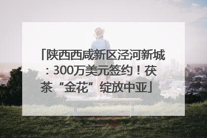 陕西西咸新区泾河新城：300万美元签约！茯茶“金花”绽放中亚