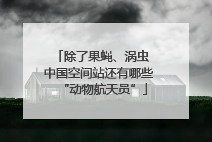 除了果蝇、涡虫 中国空间站还有哪些“动物航天员”