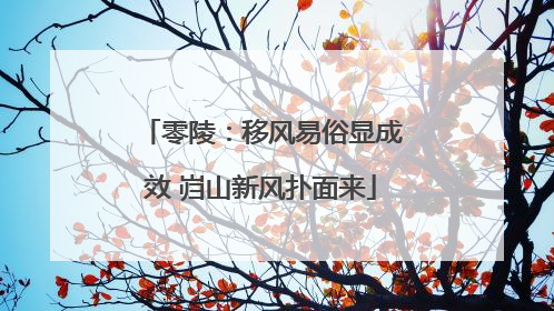 零陵：移风易俗显成效 岿山新风扑面来