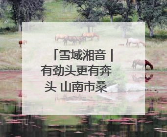 雪域湘音｜有劲头更有奔头 山南市桑日县的这个村落迎来蜕变
