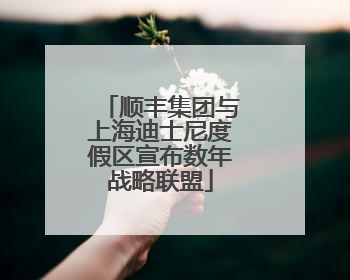 顺丰集团与上海迪士尼度假区宣布数年战略联盟