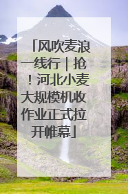 风吹麦浪一线行｜抢！河北小麦大规模机收作业正式拉开帷幕