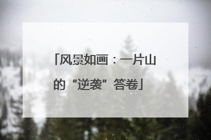 风景如画：一片山的“逆袭”答卷