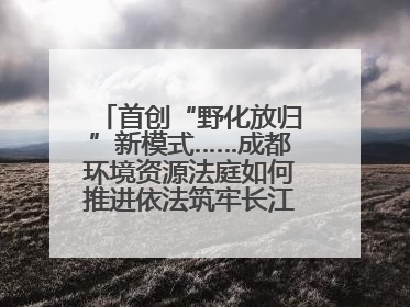 首创“野化放归”新模式……成都环境资源法庭如何推进依法筑牢长江上游生态屏障