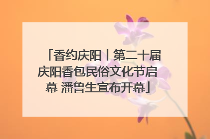 香约庆阳丨第二十届庆阳香包民俗文化节启幕 潘鲁生宣布开幕