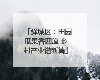 驿城区：田园瓜果香四溢 乡村产业谱新篇
