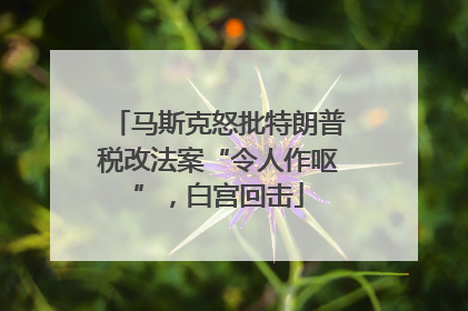 马斯克怒批特朗普税改法案“令人作呕”，白宫回击