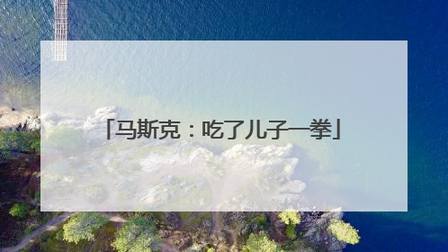 马斯克：吃了儿子一拳