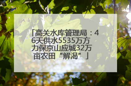 高关水库管理局：46天供水5535万方 力保京山应城32万亩农田“解渴”