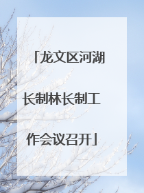 龙文区河湖长制林长制工作会议召开