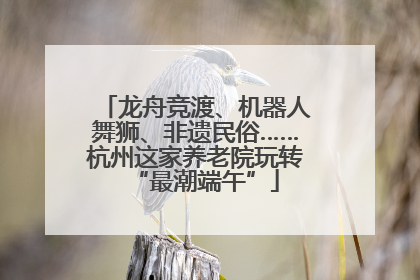 龙舟竞渡、机器人舞狮、非遗民俗……杭州这家养老院玩转“最潮端午”