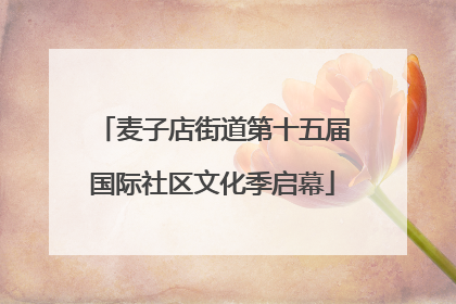 麦子店街道第十五届国际社区文化季启幕