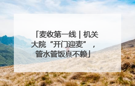 麦收第一线｜机关大院“开门迎麦”，管水管饭真不赖