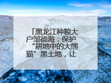 黑龙江种粮大户邹德海：保护“耕地中的大熊猫”黑土地，让增产可持续