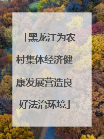 黑龙江为农村集体经济健康发展营造良好法治环境