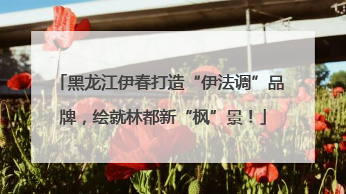 黑龙江伊春打造“伊法调”品牌，绘就林都新“枫”景！
