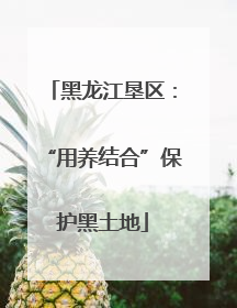 黑龙江垦区：“用养结合”保护黑土地