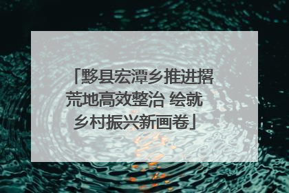 黟县宏潭乡推进撂荒地高效整治 绘就乡村振兴新画卷