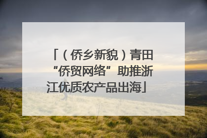 （侨乡新貌）青田“侨贸网络”助推浙江优质农产品出海
