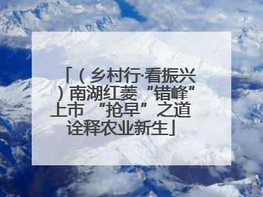 （乡村行·看振兴）南湖红菱“错峰”上市 “抢早”之道诠释农业新生