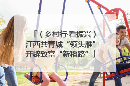 （乡村行·看振兴）江西共青城“领头雁”开辟致富“新稻路”