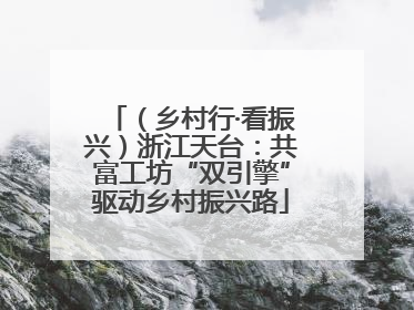 （乡村行·看振兴）浙江天台：共富工坊“双引擎”驱动乡村振兴路